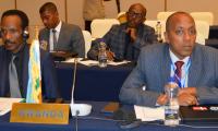CoM 31st EASF POM 21.JPG
